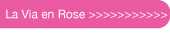 La Vie en Rose